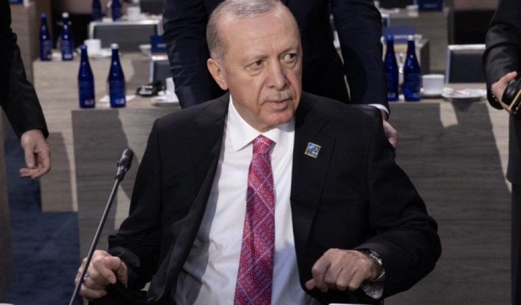 Turkey ready to build Cyprus naval base ‘if necessary’: Erdoğan