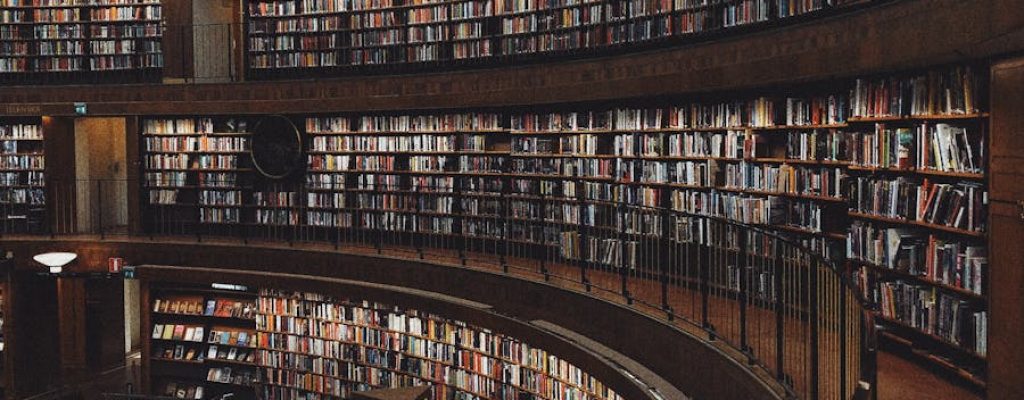 Brown Wooden Shelf With Books