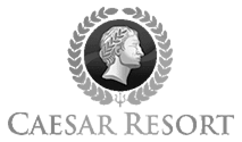 لوگوی شرکت سزار